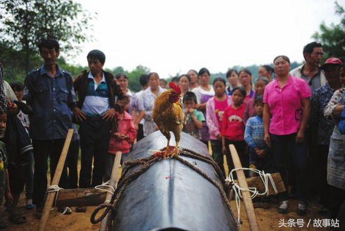 光棍贪吃棺材上的领魂鸡，引来亡灵报复，道长一计化危难