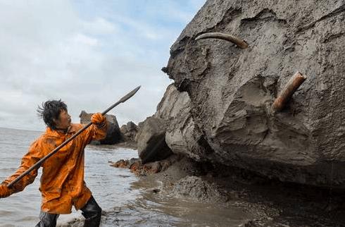 中国挖猛犸象牙 (俄罗斯人挖掘猛犸象牙)