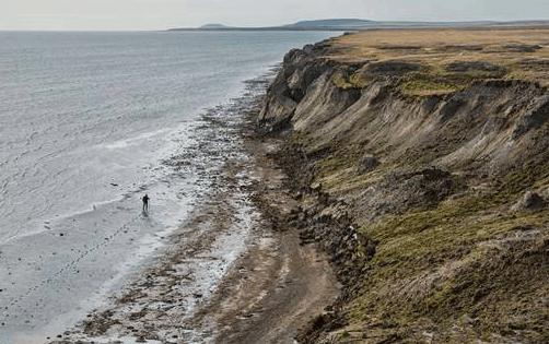 中国挖猛犸象牙 (俄罗斯人挖掘猛犸象牙)