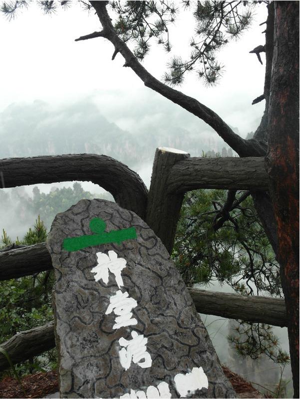 张家界风景太美下雨天却看不清,张家界下雨天哪里好玩