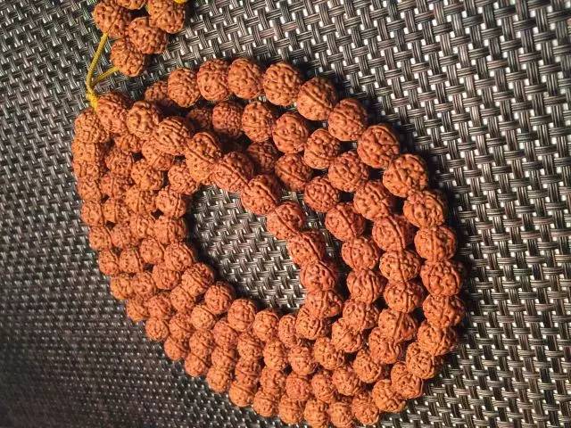 金刚圈子里混三年，这些品种都够呛能认全！