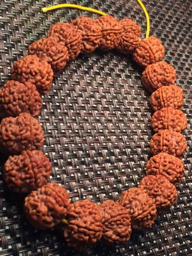 金刚圈子里混三年，这些品种都够呛能认全！