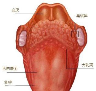 就这一种舌头出卖了孩子的健康，80%的妈妈不知道