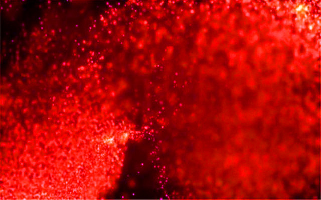 销售总监要做的五件事,业务总监个人总结