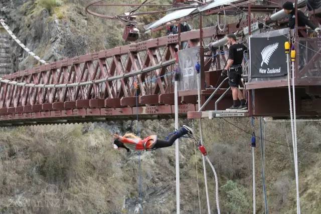 去新西兰绝对不要错过皇后镇,新西兰皇后镇自由行关注事项