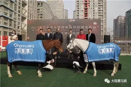 燕龙马业集团有限公司,燕龙马业