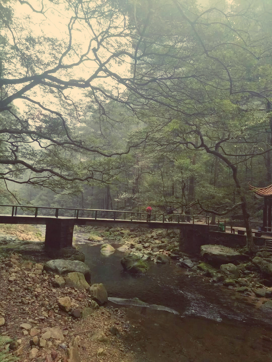 湖南老年人旅游攻略,老人湖南旅游攻略