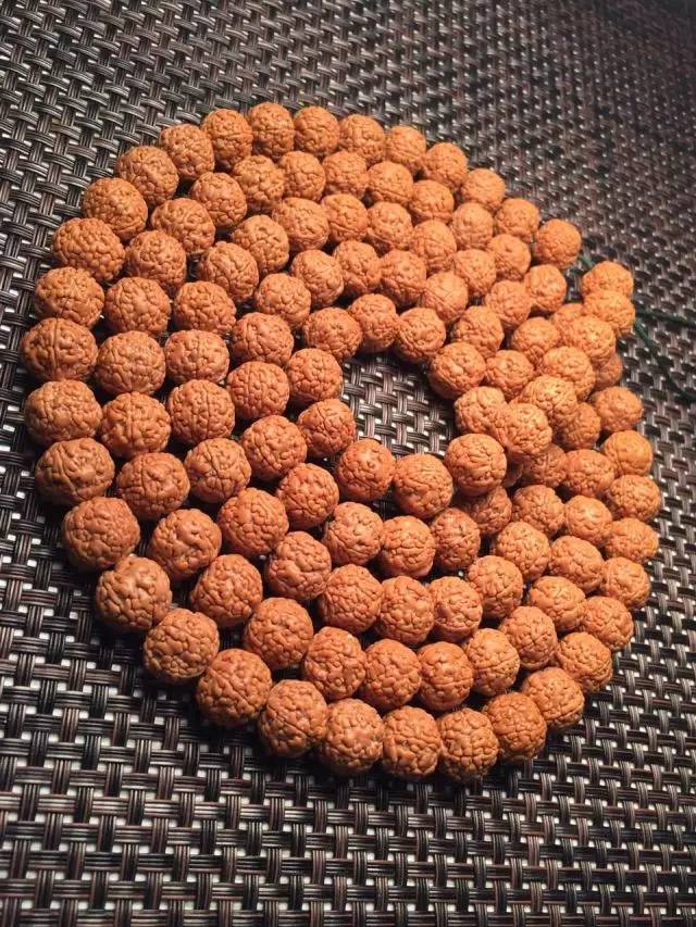 金刚圈子里混三年，这些品种都够呛能认全！