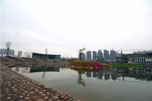 临港为什么那么多公园,宜宾临港公园