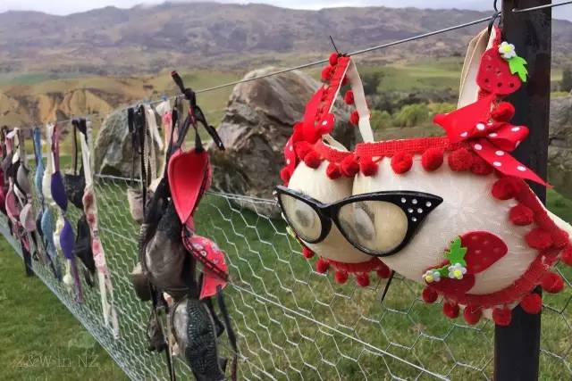 去新西兰绝对不要错过皇后镇,新西兰皇后镇自由行关注事项