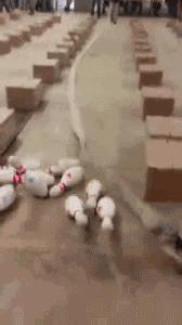 神龙大摆尾恶搞,神龙摆尾车的搞笑视频