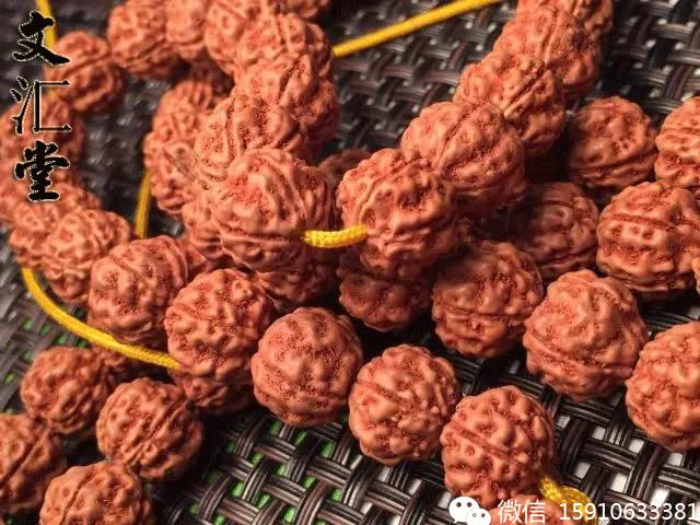 金刚圈子里混三年，这些品种都够呛能认全！