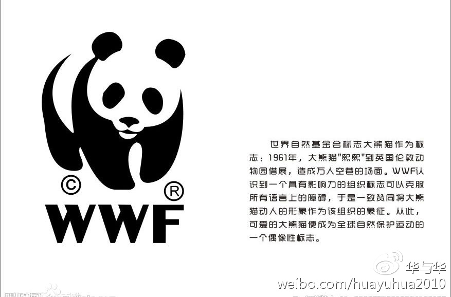 创意来了｜品牌想要萌萌哒？就用全人类都爱的熊猫吧！