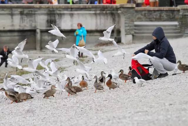 去新西兰绝对不要错过皇后镇,新西兰皇后镇自由行关注事项