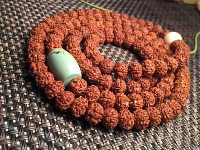 金刚圈子里混三年，这些品种都够呛能认全！