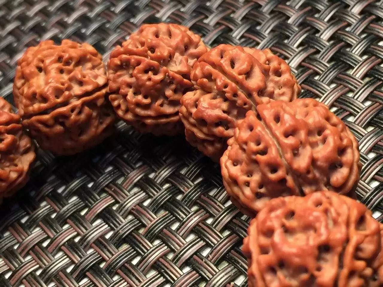 金刚圈子里混三年，这些品种都够呛能认全！