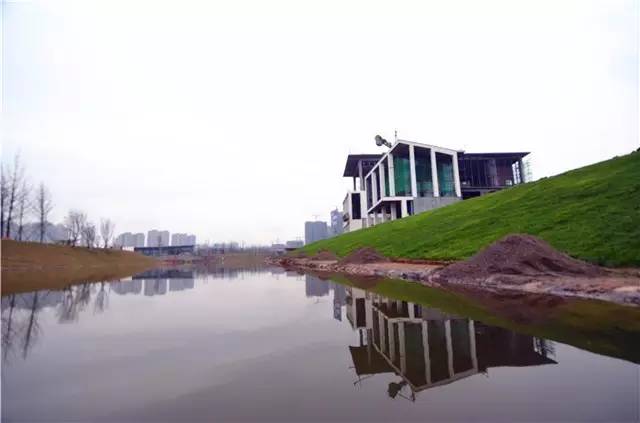 临港为什么那么多公园,宜宾临港公园