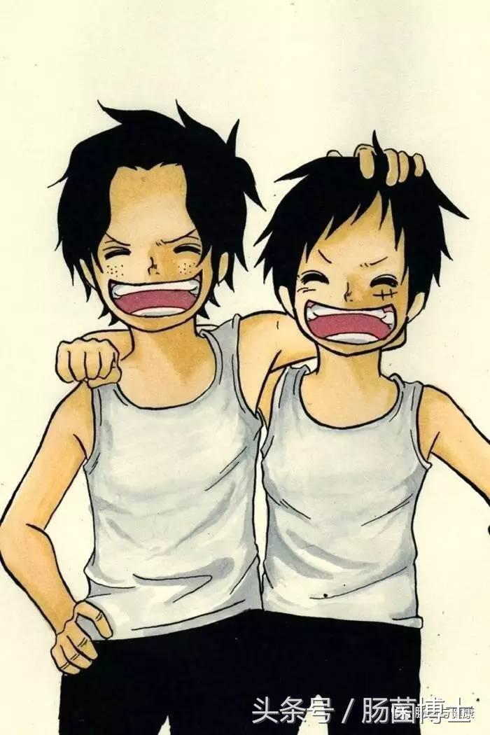 同样是双歧杆菌，你咋就可以减脂呢？