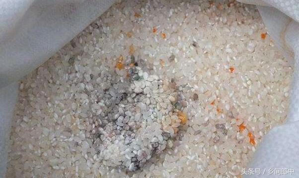 大米异味重还能吃吗,大米也有重金属吗