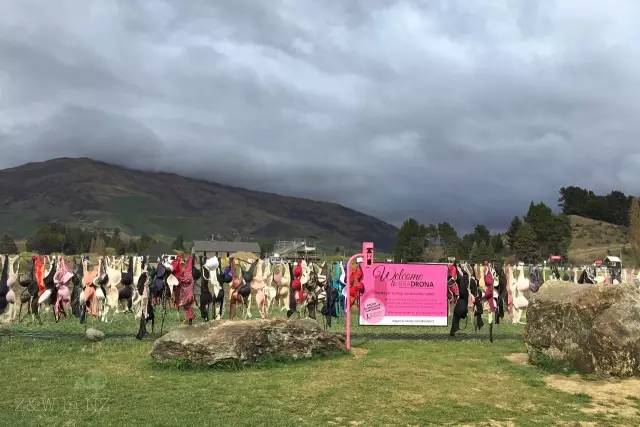 去新西兰绝对不要错过皇后镇,新西兰皇后镇自由行关注事项