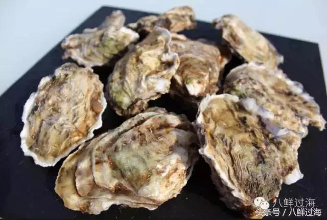 澳洲海鲜什么值得推荐,去澳大利亚可以带的食品有哪些