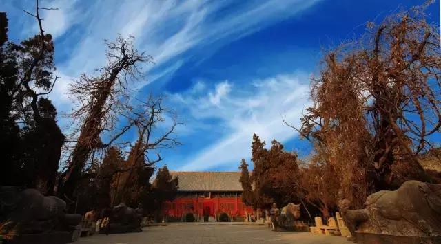 报告老板，我要逃离北京，我请假的的理由是……