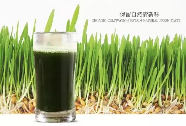 盘点那些被315曝光的商品,近三年315晚会曝光商品