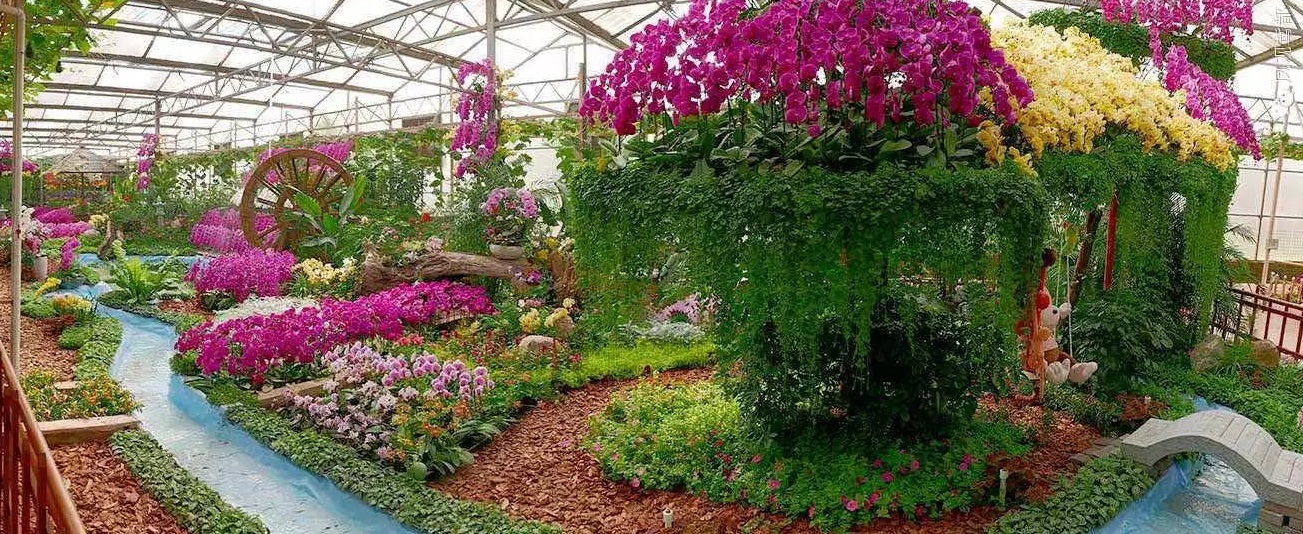 潍坊节会最新消息,潍坊风筝节会有多少人