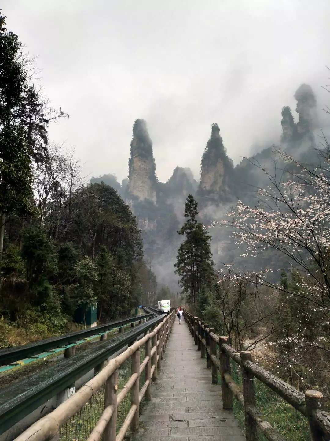 湖南老年人旅游攻略,老人湖南旅游攻略