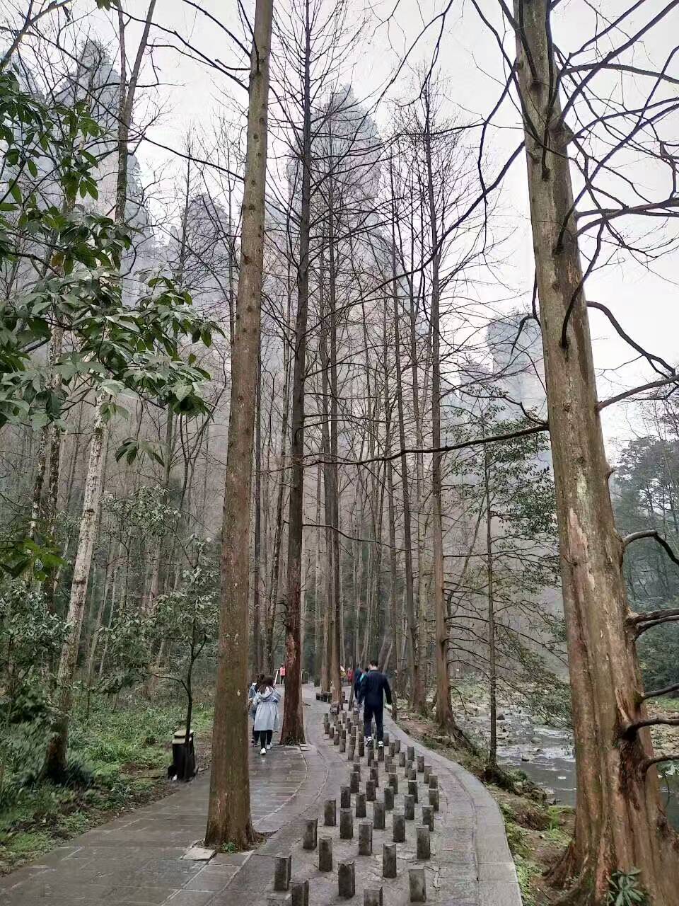 湖南老年人旅游攻略,老人湖南旅游攻略