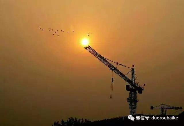 爱上多肉爱上生活,爱上多肉深似海