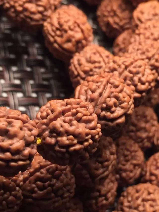 金刚圈子里混三年，这些品种都够呛能认全！