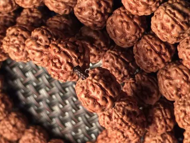 金刚圈子里混三年，这些品种都够呛能认全！