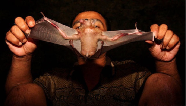 印尼居民就好这口，另类食物据说养生延年，还因此开辟新职业