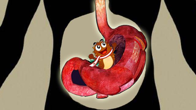 从萎缩性胃炎变成浅表性胃炎,萎缩性胃炎逆转成浅表性胃炎