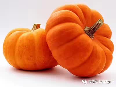 在餐桌上烹饪的菜,在餐桌上的菜