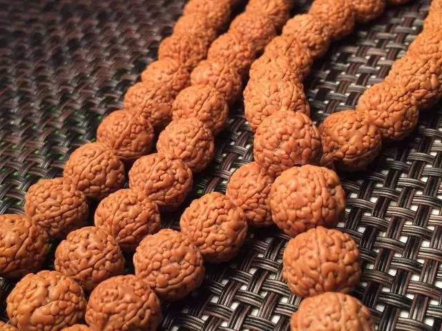 金刚圈子里混三年，这些品种都够呛能认全！