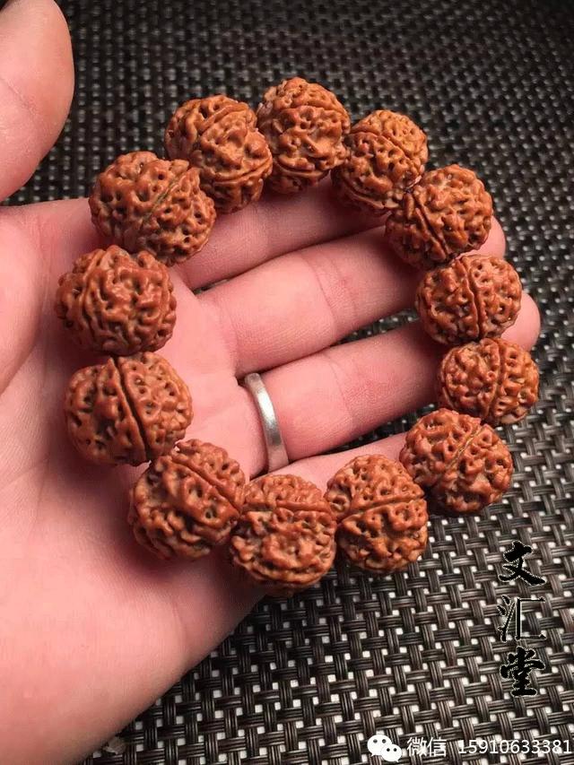 金刚圈子里混三年，这些品种都够呛能认全！