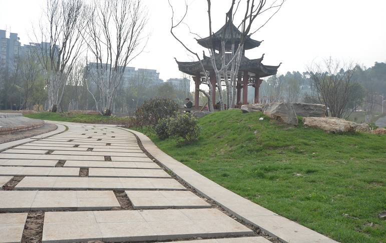 临港为什么那么多公园,宜宾临港公园