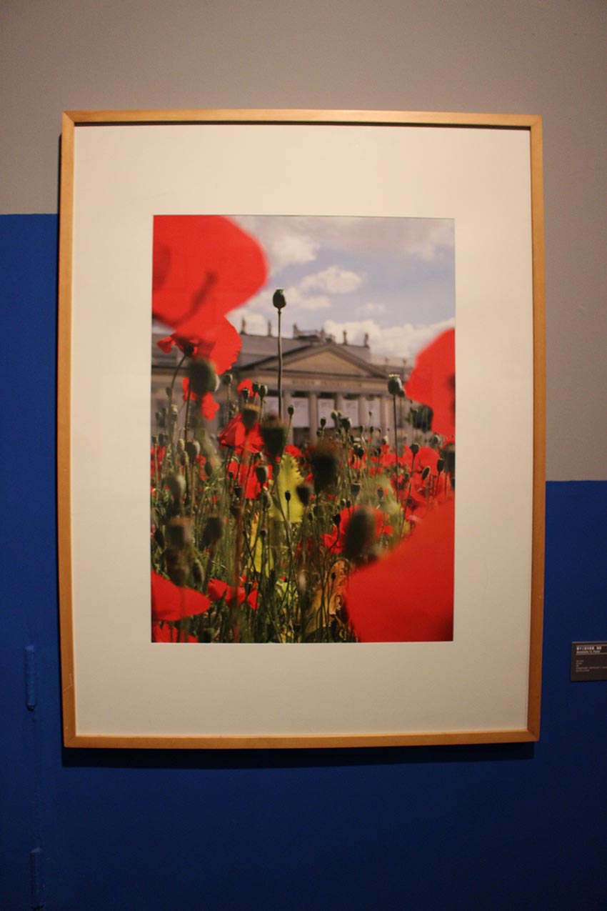 文献展的神话阿尔诺德·博德与他的后继者们