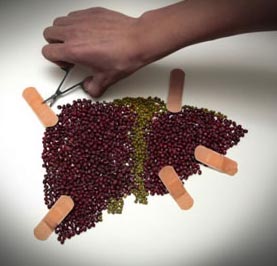 大三阳的人饮食要关注什么,脾胃虚寒不能暴饮暴食