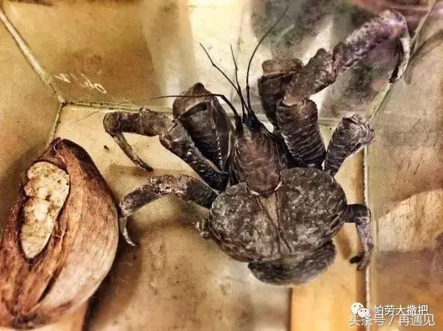 帕劳物价及生活水平,帕劳物价为什么这么贵