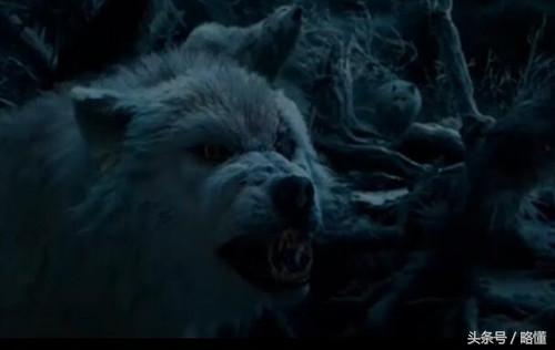 美女与野兽细节,美女与野兽到底有几部