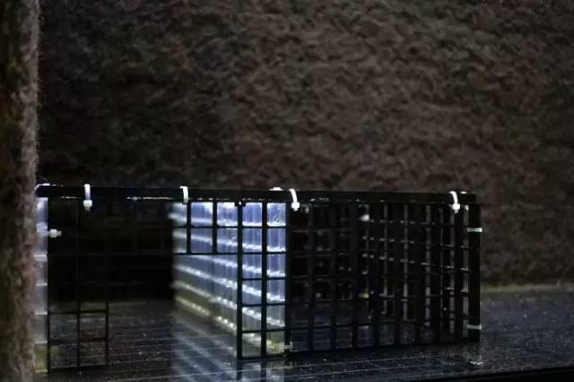 水族箱草缸开缸教程新手入门,雨林缸开缸多久植物才会稳定