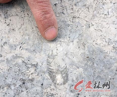 被河南遗忘的地方林州,林州今天美景