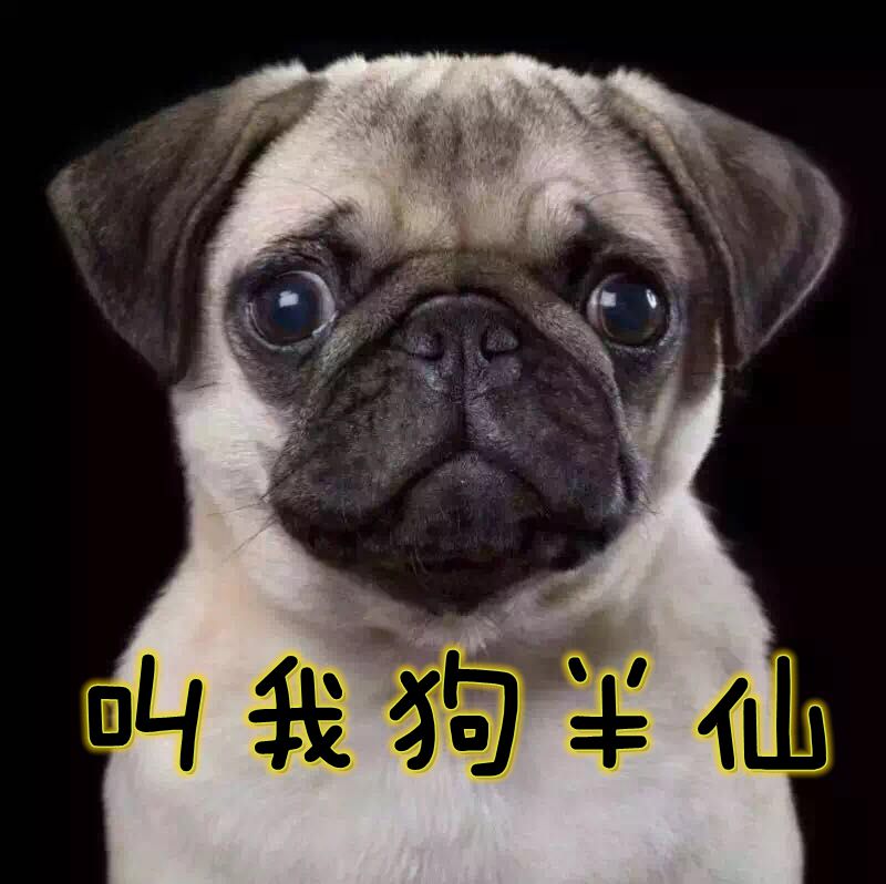 狗半仙跟你唠宠物，宠物营养之「疯狂的脂肪」