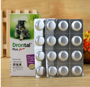 20天的德国牧羊犬拉稀怎样治,德国牧羊犬幼犬闹肚子怎么办