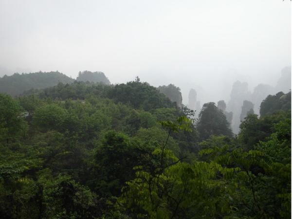 张家界风景太美下雨天却看不清,张家界下雨天哪里好玩
