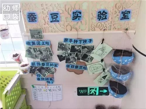 幼儿园如何打造自然区角的环境,复古自然角幼儿园