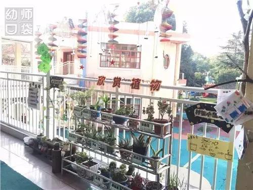 幼儿园如何打造自然区角的环境,复古自然角幼儿园